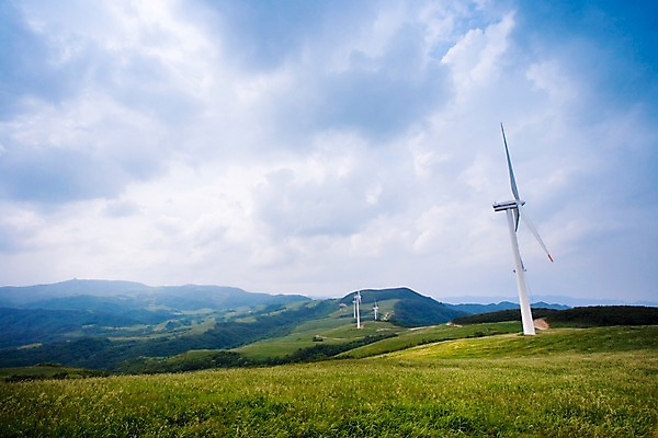 포토 JPG 주간 나무 식물 구름 배경화면 백그라운드 자연 하늘 풍경 잔디 초원 사람없음 야외 울타리 목장 에너지 풍력에너지 언덕 국내포토 자연요소 담장 그린에너지 생태계 파일형식