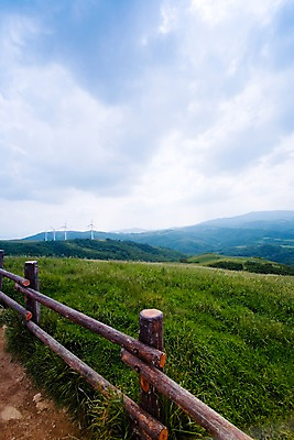 포토 JPG 주간 나무 식물 구름 백그라운드 자연 하늘 풍경 잔디 초원 사람없음 야외 울타리 목장 에너지 풍력에너지 축산업 국내포토 자연요소 산업 담장 그린에너지 생태계 파일형식