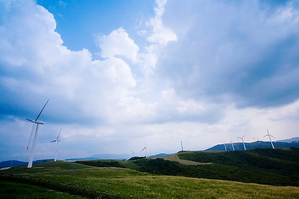 포토 JPG 주간 나무 식물 구름 배경화면 백그라운드 자연 하늘 풍경 잔디 초원 사람없음 야외 울타리 목장 에너지 풍력에너지 언덕 국내포토 자연요소 담장 그린에너지 생태계 파일형식