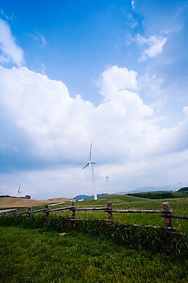 포토 JPG 주간 나무 식물 구름 백그라운드 자연 하늘 풍경 잔디 초원 사람없음 야외 울타리 목장 에너지 풍력에너지 축산업 국내포토 자연요소 산업 담장 그린에너지 생태계 파일형식