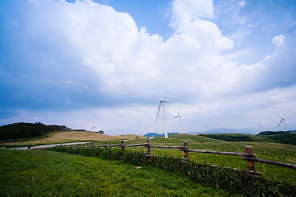 포토 JPG 주간 나무 식물 구름 배경화면 백그라운드 자연 하늘 풍경 잔디 초원 사람없음 야외 울타리 목장 에너지 풍력에너지 축산업 국내포토 자연요소 산업 담장 그린에너지 생태계 파일형식
