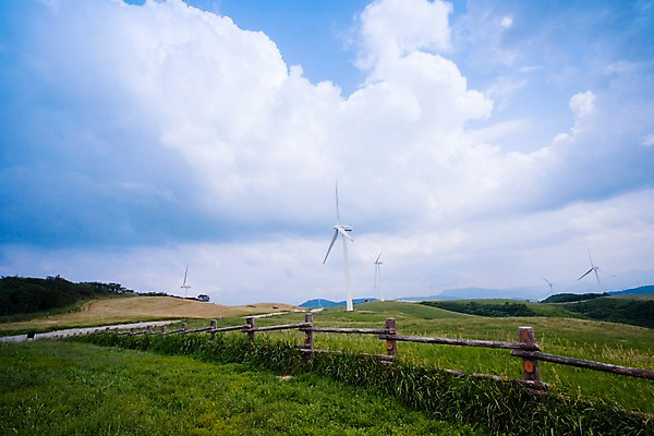포토 JPG 주간 나무 식물 구름 배경화면 백그라운드 자연 하늘 풍경 잔디 초원 사람없음 야외 울타리 목장 에너지 풍력에너지 축산업 국내포토 자연요소 산업 담장 그린에너지 생태계 파일형식