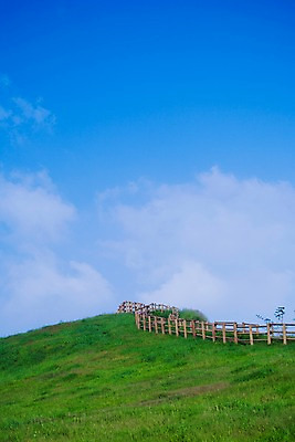 포토 JPG 주간 백그라운드 자연 하늘 풍경 잔디 사람없음 야외 울타리 풀 언덕 국내포토 자연요소 식물 담장 생태계 파일형식