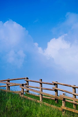 포토 JPG 주간 배경화면 백그라운드 자연 하늘 풍경 잔디 사람없음 야외 울타리 풀 언덕 국내포토 자연요소 식물 담장 생태계 파일형식