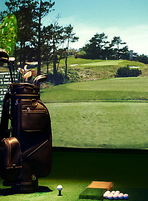 포토 JPG 스포츠용품 놀이 레저 골프공 실내 사람없음 세로 레포츠 구기 골프채 게임 골프가방 카지노 클럽 인조잔디 골프연습장 스크린골프 스크린골프장 국내포토 스포츠 골프 가방 공 골프장 골프용품 잔디 내부 도박 오브젝트 파일형식