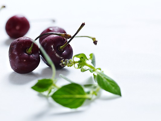 포토 JPG 식물 열매 음식 잎 과일 실내 사람없음 아웃포커스 가로 체리 국내포토 촬영기법 내부 파일형식