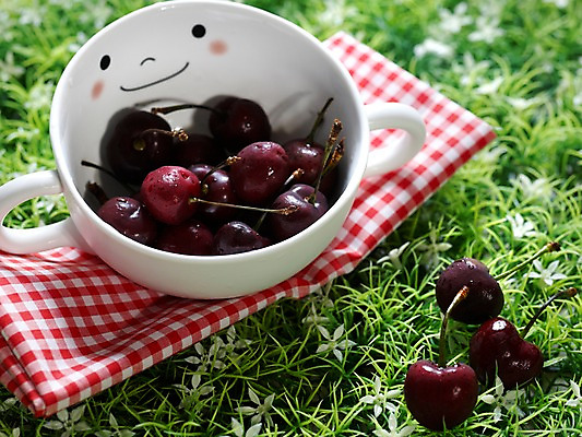 포토 JPG 식물 그릇 열매 음식 과일 실내 잔디 사람없음 가로 체리 천 인조잔디 국내포토 식기 내부 직물 파일형식