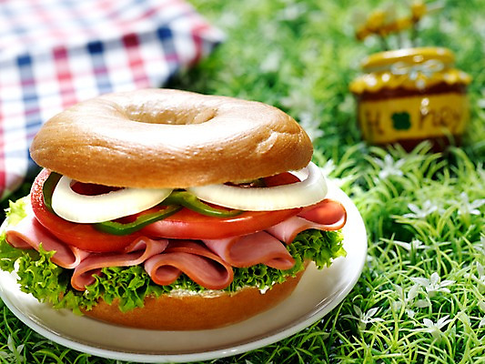 포토 JPG 그릇 접시 음식 빵 서양음식 실내 샌드위치 잔디 사람없음 아웃포커스 가로 천 브런치 베이글 베이글샌드위치 국내포토 식물 식기 촬영기법 내부 식사 직물 파일형식