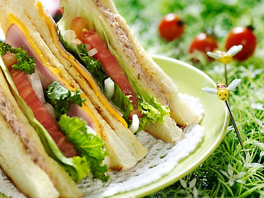 포토 JPG 그릇 접시 음식 빵 방울토마토 서양음식 실내 샌드위치 근접촬영 잔디 사람없음 아웃포커스 가로 천 브런치 벌장식 국내포토 식물 식기 뷰포인트 토마토 촬영기법 내부 장식 식사 직물 파일형식