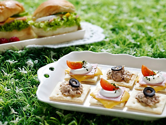 포토 JPG 접시 음식 방울토마토 치즈 쟁반 서양음식 실내 잔디 사람없음 아웃포커스 가로 과자 참치 카나페 올리브 햄 브런치 인조잔디 마요네즈 국내포토 레이스천 식물 식기 열매 토마토 디저트 유제품 촬영기법 육류 어류 내부 식사 직물 소스_음식 파일형식