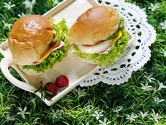 포토 JPG 음식 빵 쟁반 서양음식 실내 샌드위치 잔디 사람없음 가로 브런치 국내포토 식물 내부 식사 파일형식