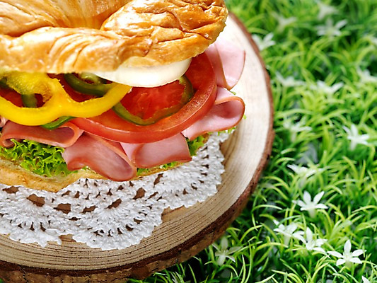 포토 JPG 음식 빵 서양음식 실내 샌드위치 근접촬영 잔디 사람없음 가로 크루아상 브런치 나무받침 크루아상샌드위치 국내포토 식물 뷰포인트 내부 목재 식사 받침대 파일형식