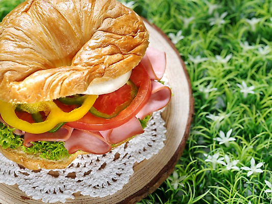 포토 JPG 음식 빵 서양음식 실내 샌드위치 근접촬영 잔디 사람없음 가로 크루아상 브런치 나무받침 크루아상샌드위치 국내포토 식물 뷰포인트 내부 목재 식사 받침대 파일형식