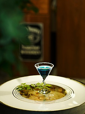 포토 JPG 음식 잎 술잔 나뭇잎 잔 주류 쟁반 사람없음 세로 칵테일 칵테일잔 칵테일바 블루마운틴 국내포토 식물 식기 음료 국립공원 선술집 호주 파일형식