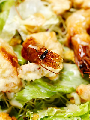 포토 JPG 음식 서양음식 실내 근접촬영 사람없음 세로 샐러드 안주 쉬림프샐러드 국내포토 뷰포인트 내부 파일형식