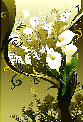 EPS 식물 꽃 컬러 백그라운드 일러스트 자연 사람없음 흰색 카라 팝아트 국내일러스트 그림 생태계 파일형식 벡터