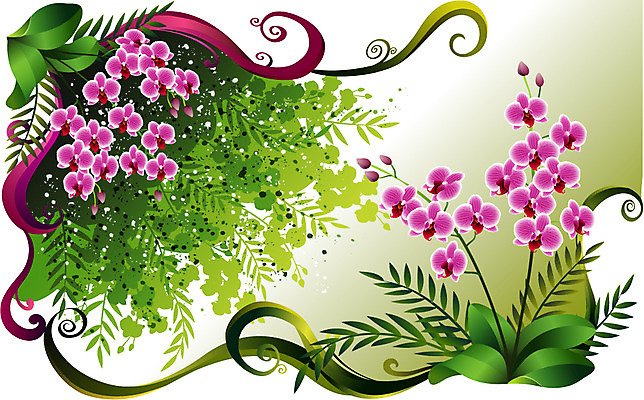 EPS 식물 꽃 컬러 백그라운드 일러스트 자연 사람없음 보라색 난초 팝아트 국내일러스트 그림 생태계 파일형식 벡터