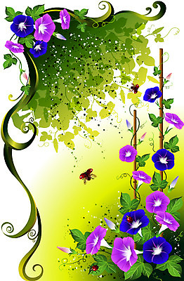 EPS 식물 꽃 컬러 백그라운드 일러스트 자연 사람없음 보라색 팝아트 무당벌레 나팔꽃 국내일러스트 곤충 그림 생태계 파일형식 벡터