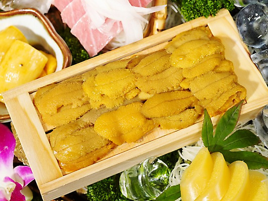 포토 JPG 아시아 음식 외국문화 단풍 실내 요리 근접촬영 사람없음 장식 하이앵글 얼음 해조류 해산물 호접란 나무그릇 모듬 성게알 일본음식 국내포토 자연요소 그릇 꽃 나라 문화 뷰포인트 잎 내부 목재 알 해양식물 파일형식