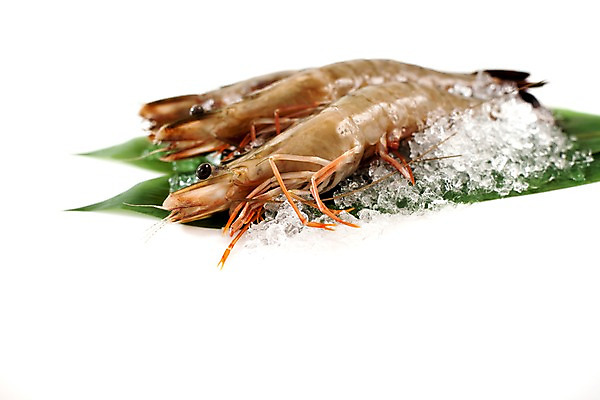 포토 JPG 스튜디오촬영 음식 잎 절지류 식재료 나뭇잎 새우 갑각류 요리 사람없음 얼음 대하 해산물 생새우 국내포토 자연요소 식물 동물 어패류 실내 파일형식