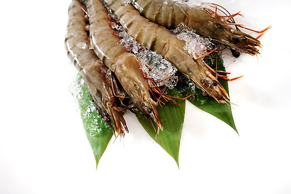 포토 JPG 스튜디오촬영 음식 잎 절지류 식재료 나뭇잎 새우 갑각류 요리 사람없음 얼음 대하 해산물 생새우 국내포토 자연요소 식물 동물 어패류 실내 파일형식
