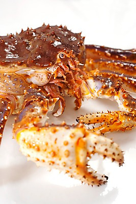 포토 JPG 스튜디오촬영 음식 절지류 식재료 갑각류 요리 근접촬영 사람없음 게 해산물 킹크랩 국내포토 동물 뷰포인트 실내 파일형식