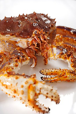 포토 JPG 스튜디오촬영 음식 절지류 식재료 갑각류 요리 근접촬영 사람없음 게 해산물 킹크랩 국내포토 동물 뷰포인트 실내 파일형식