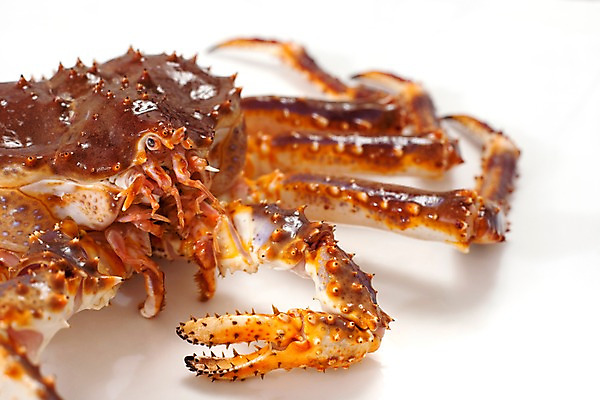 포토 JPG 스튜디오촬영 음식 절지류 식재료 갑각류 요리 근접촬영 사람없음 게 해산물 킹크랩 국내포토 동물 뷰포인트 실내 파일형식