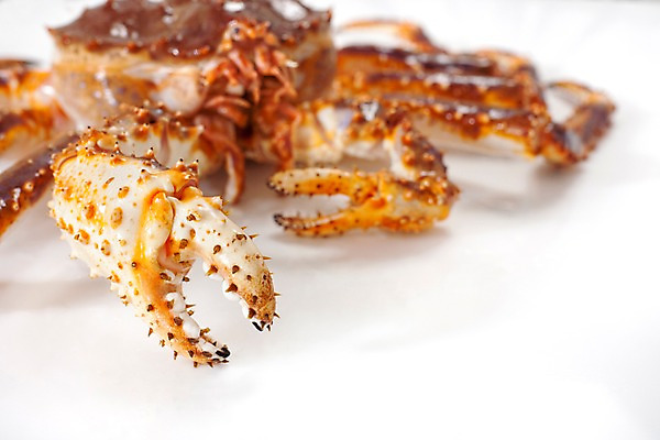 포토 JPG 스튜디오촬영 음식 절지류 식재료 갑각류 요리 근접촬영 사람없음 게 해산물 킹크랩 국내포토 동물 뷰포인트 실내 파일형식