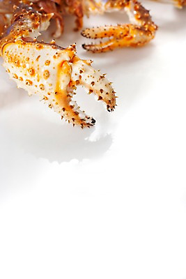 포토 JPG 스튜디오촬영 음식 절지류 식재료 갑각류 요리 근접촬영 사람없음 게 해산물 킹크랩 국내포토 동물 뷰포인트 실내 파일형식