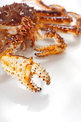 포토 JPG 스튜디오촬영 음식 절지류 식재료 갑각류 요리 근접촬영 사람없음 게 해산물 킹크랩 국내포토 동물 뷰포인트 실내 파일형식