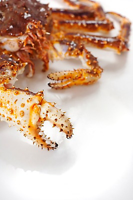 포토 JPG 스튜디오촬영 음식 절지류 식재료 갑각류 요리 근접촬영 사람없음 게 해산물 킹크랩 국내포토 동물 뷰포인트 실내 파일형식