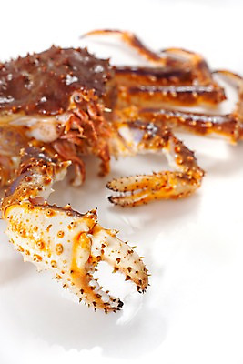 포토 JPG 스튜디오촬영 음식 절지류 식재료 갑각류 요리 근접촬영 사람없음 게 해산물 킹크랩 국내포토 동물 뷰포인트 실내 파일형식