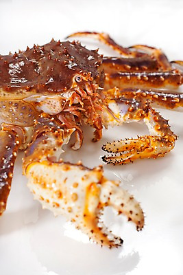 포토 JPG 스튜디오촬영 음식 절지류 식재료 갑각류 요리 근접촬영 사람없음 게 해산물 킹크랩 대게 국내포토 동물 뷰포인트 실내 파일형식