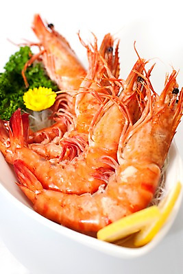 포토 JPG 스튜디오촬영 그릇 접시 꽃 아시아 음식 절지류 새우 국화 파슬리 갑각류 요리 근접촬영 사람없음 장식 해물요리 레몬 대하 해산물 찜 왕새우찜 일본음식 국내포토 식물 동물 식기 나라 뷰포인트 채소 과일 실내 파일형식
