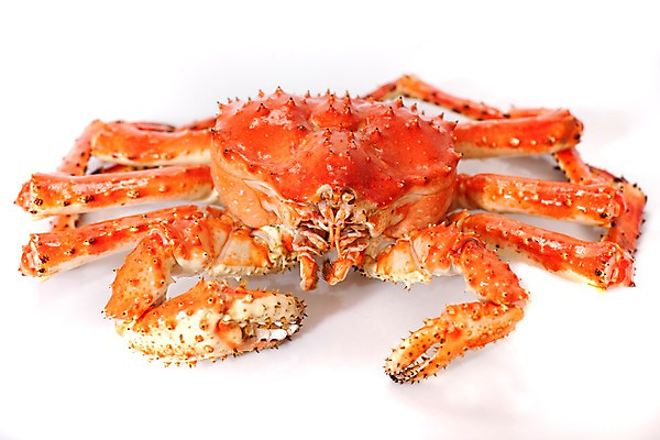 포토 JPG 스튜디오촬영 아시아 음식 절지류 갑각류 요리 누끼 사람없음 해물요리 게 해산물 킹크랩 킹크랩찜 일본음식 국내포토 동물 나라 실내 찜 파일형식