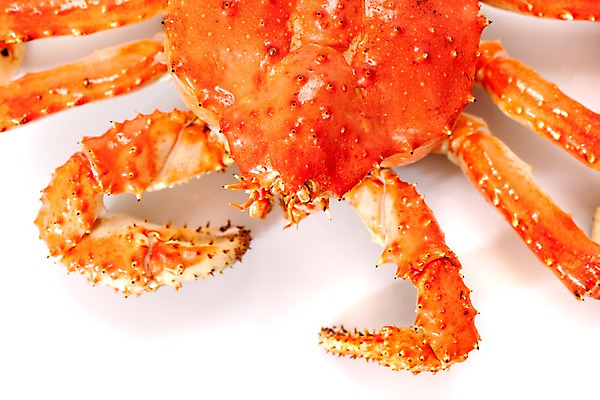 포토 JPG 스튜디오촬영 아시아 음식 절지류 갑각류 요리 근접촬영 사람없음 해물요리 게 해산물 킹크랩 킹크랩찜 일본음식 국내포토 동물 나라 뷰포인트 실내 찜 파일형식