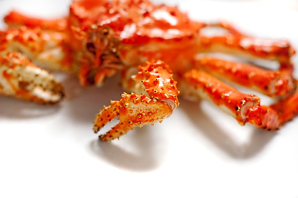 포토 JPG 스튜디오촬영 아시아 음식 절지류 갑각류 요리 근접촬영 사람없음 해물요리 게 해산물 킹크랩 킹크랩찜 일본음식 국내포토 동물 나라 뷰포인트 실내 찜 파일형식