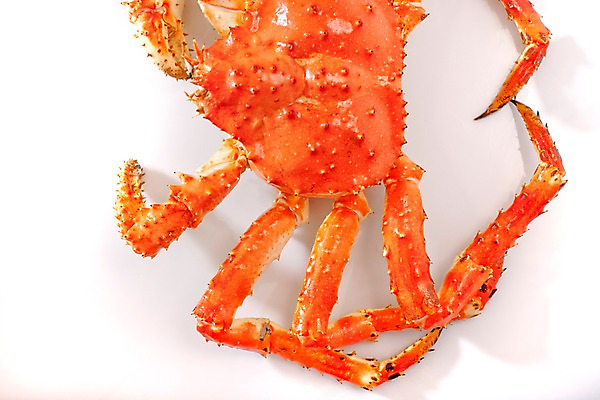 포토 JPG 스튜디오촬영 아시아 음식 절지류 갑각류 요리 근접촬영 사람없음 해물요리 게 해산물 킹크랩 킹크랩찜 일본음식 국내포토 동물 나라 뷰포인트 실내 찜 파일형식