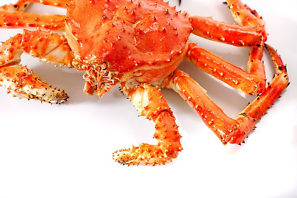 포토 JPG 스튜디오촬영 아시아 음식 절지류 갑각류 요리 근접촬영 사람없음 해물요리 게 해산물 킹크랩 킹크랩찜 일본음식 국내포토 동물 나라 뷰포인트 실내 찜 파일형식