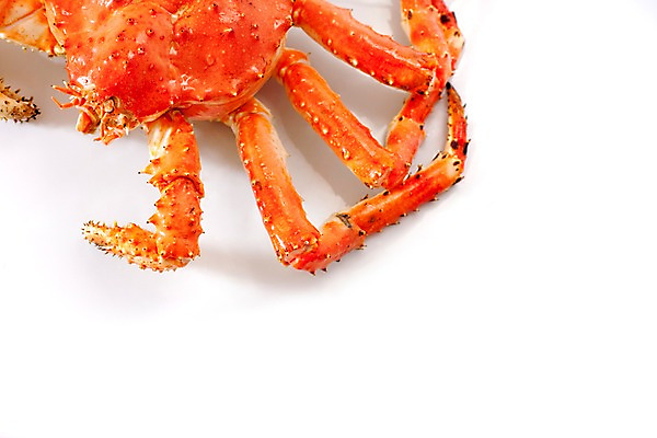 포토 JPG 스튜디오촬영 아시아 음식 절지류 갑각류 요리 근접촬영 사람없음 해물요리 게 해산물 킹크랩 킹크랩찜 일본음식 국내포토 동물 나라 뷰포인트 실내 찜 파일형식