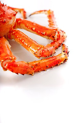 포토 JPG 스튜디오촬영 아시아 음식 절지류 갑각류 요리 사람없음 해물요리 게 해산물 킹크랩 게다리 킹크랩찜 일본음식 국내포토 동물 나라 실내 찜 파일형식