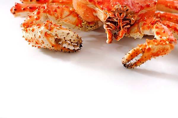 포토 JPG 스튜디오촬영 아시아 음식 절지류 갑각류 요리 근접촬영 사람없음 해물요리 게 해산물 킹크랩 킹크랩찜 일본음식 국내포토 동물 나라 뷰포인트 실내 찜 파일형식