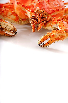 포토 JPG 스튜디오촬영 아시아 음식 절지류 갑각류 요리 근접촬영 사람없음 해물요리 게 해산물 킹크랩 킹크랩찜 일본음식 국내포토 동물 나라 뷰포인트 실내 찜 파일형식