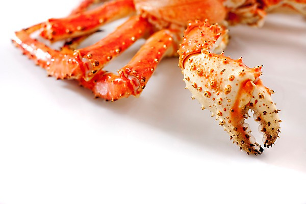 포토 JPG 스튜디오촬영 아시아 음식 절지류 갑각류 요리 근접촬영 사람없음 해물요리 게 해산물 킹크랩 킹크랩찜 일본음식 국내포토 동물 나라 뷰포인트 실내 찜 파일형식