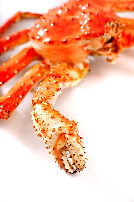 포토 JPG 스튜디오촬영 아시아 음식 절지류 갑각류 요리 근접촬영 사람없음 해물요리 게 해산물 킹크랩 킹크랩찜 일본음식 국내포토 동물 나라 뷰포인트 실내 찜 파일형식