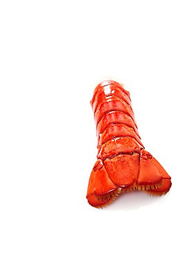 포토 JPG 스튜디오촬영 음식 요리 누끼 근접촬영 사람없음 해물요리 바닷가재 해산물 꼬리 랍스터찜 국내포토 뷰포인트 실내 가재 파일형식