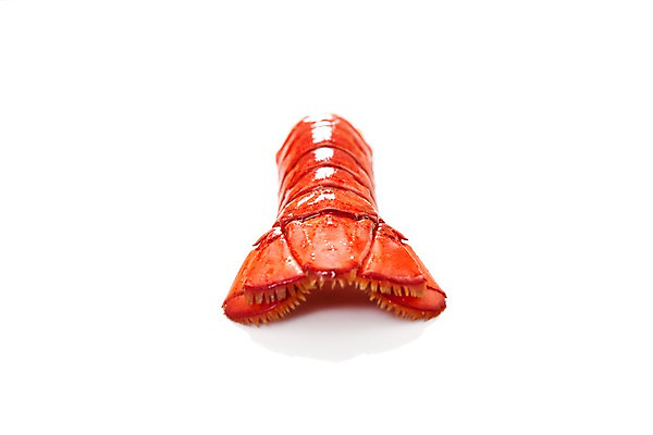 포토 JPG 스튜디오촬영 음식 요리 누끼 근접촬영 사람없음 해물요리 바닷가재 해산물 꼬리 랍스터찜 국내포토 뷰포인트 실내 가재 파일형식