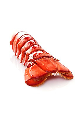 포토 JPG 스튜디오촬영 음식 요리 누끼 근접촬영 사람없음 해물요리 바닷가재 해산물 꼬리 랍스터찜 국내포토 뷰포인트 실내 가재 파일형식