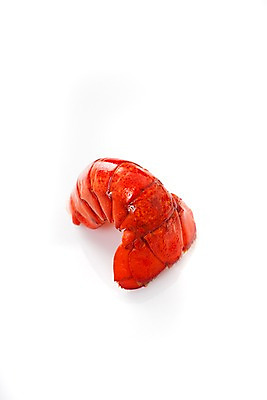 포토 JPG 스튜디오촬영 음식 요리 누끼 근접촬영 사람없음 해물요리 바닷가재 해산물 꼬리 랍스터찜 국내포토 뷰포인트 실내 가재 파일형식